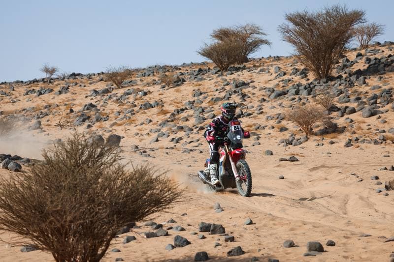 Motorsport. Dakar Rally. Stage 11. 15.01.2026