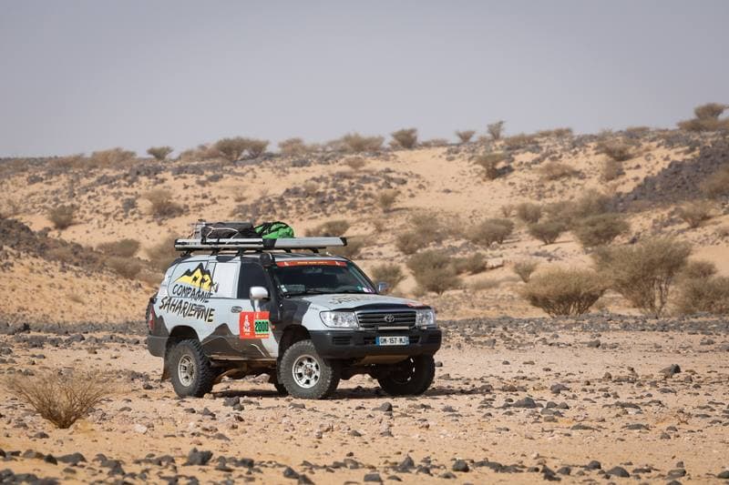 Motorsport. Dakar Rally. Stage 11. 15.01.2026