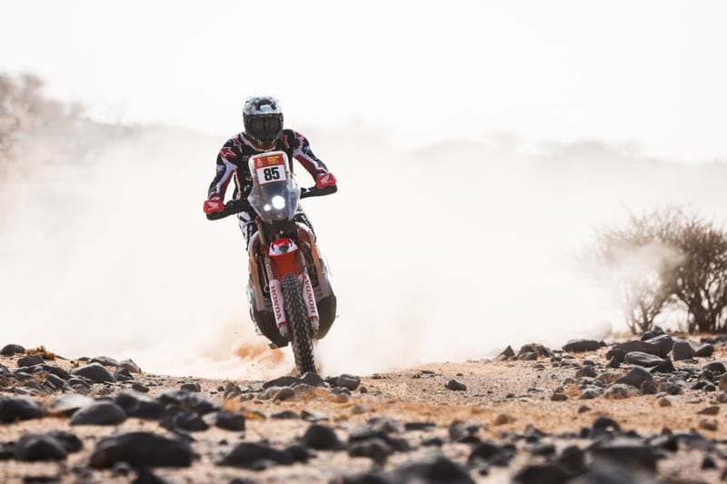 Motorsport. Dakar Rally. Stage 11. 15.01.2026