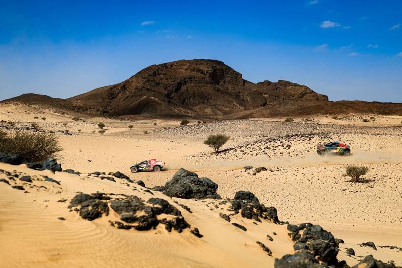 Motorsport. Dakar Rally. Stage 11. 15.01.2026