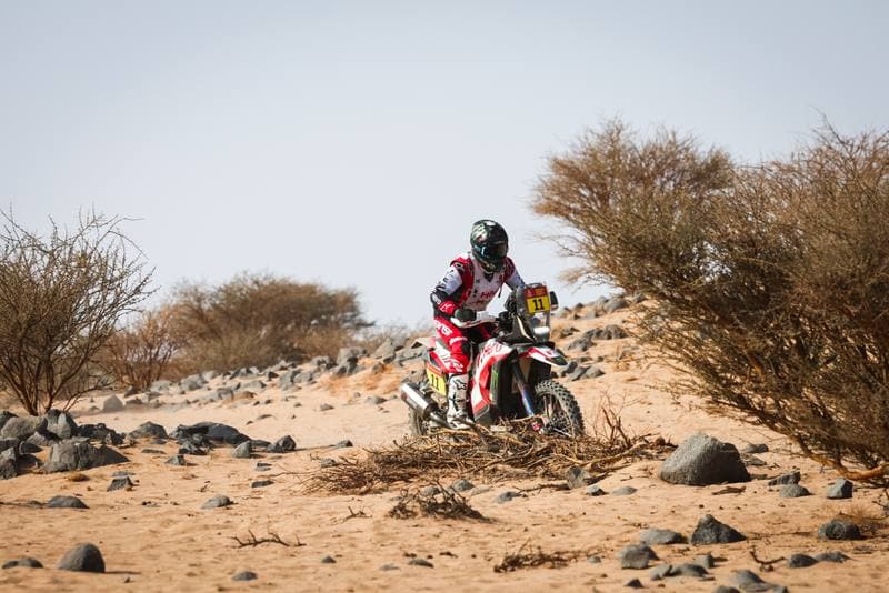 Motorsport. Dakar Rally. Stage 11. 15.01.2026