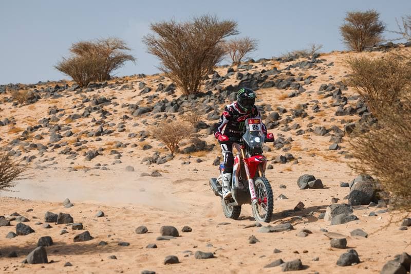 Motorsport. Dakar Rally. Stage 11. 15.01.2026