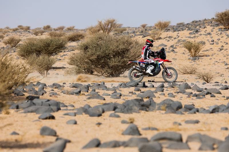 Motorsport. Dakar Rally. Stage 11. 15.01.2026