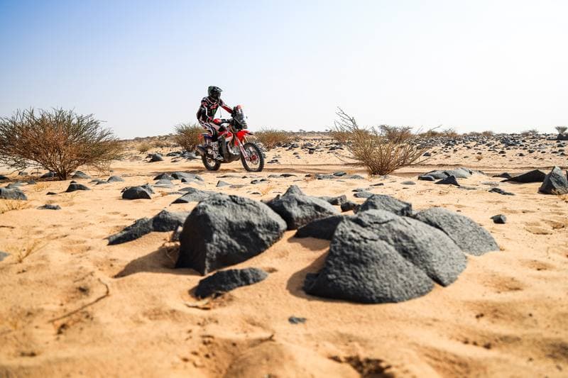 Motorsport. Dakar Rally. Stage 11. 15.01.2026