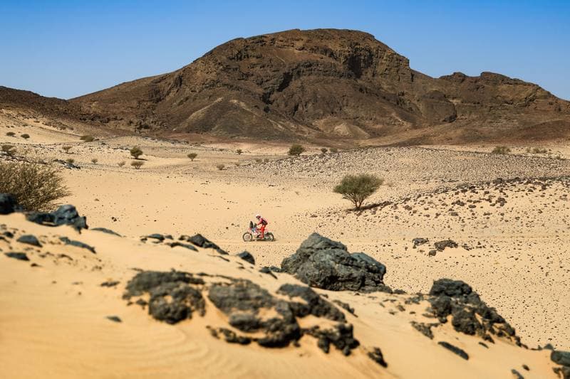 Motorsport. Dakar Rally. Stage 11. 15.01.2026