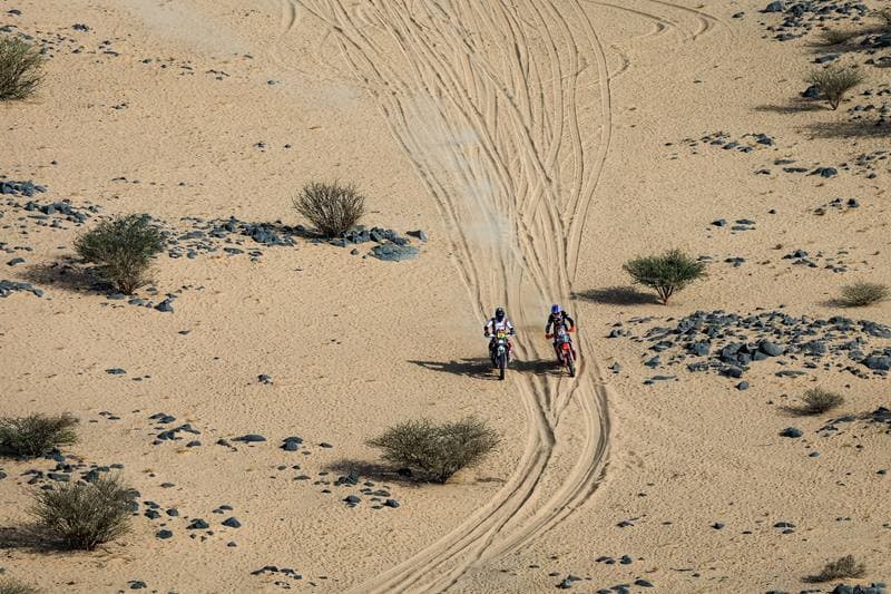 Motorsport. Dakar Rally. Stage 11. 15.01.2026
