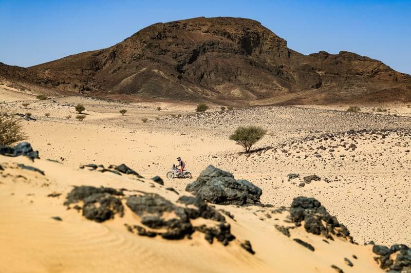 Motorsport. Dakar Rally. Stage 11. 15.01.2026