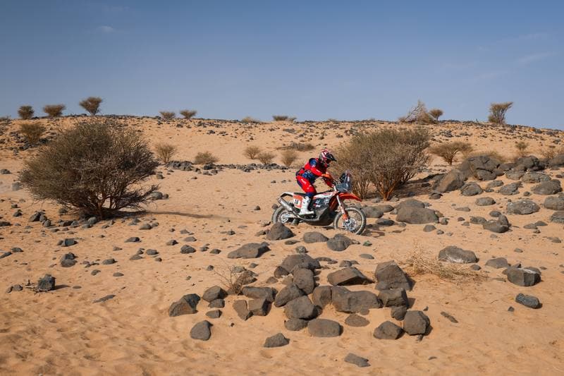 Motorsport. Dakar Rally. Stage 11. 15.01.2026