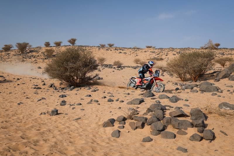 Motorsport. Dakar Rally. Stage 11. 15.01.2026