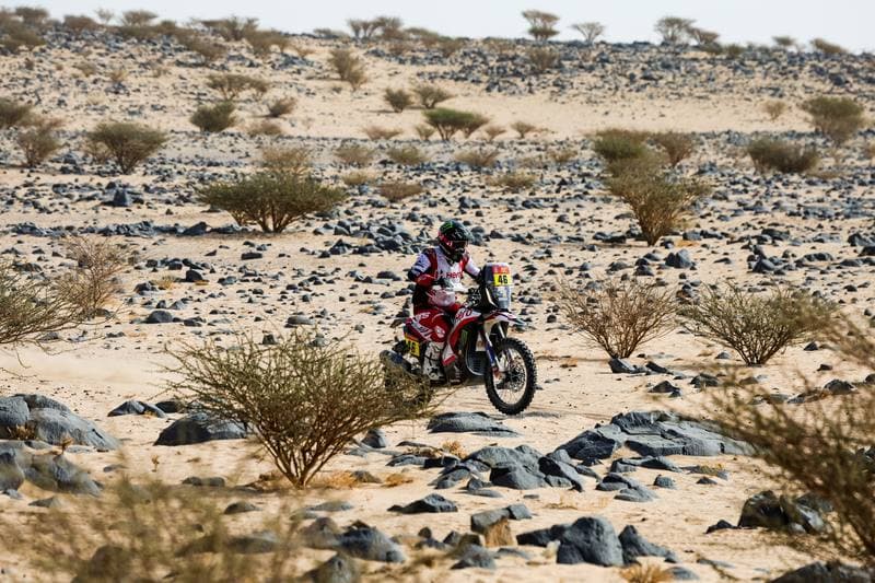 Motorsport. Dakar Rally. Stage 11. 15.01.2026