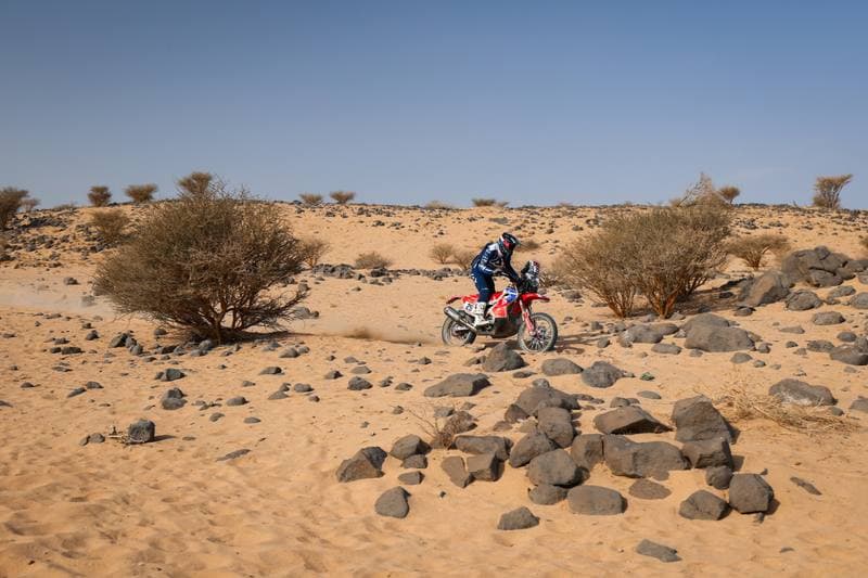Motorsport. Dakar Rally. Stage 11. 15.01.2026
