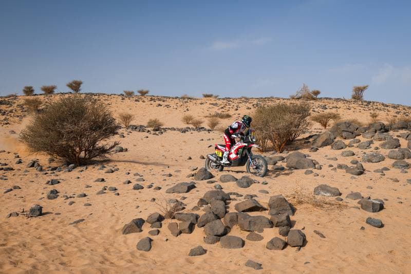 Motorsport. Dakar Rally. Stage 11. 15.01.2026