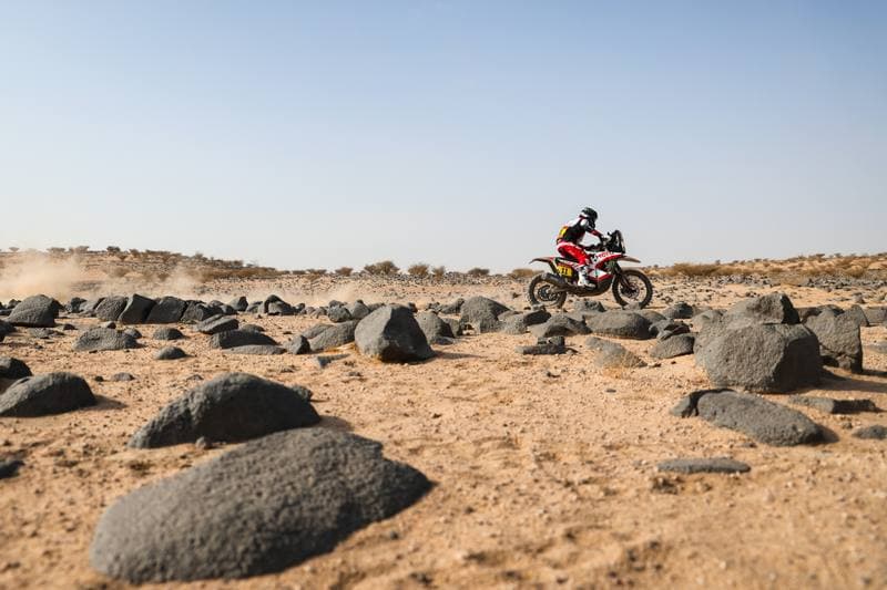Motorsport. Dakar Rally. Stage 11. 15.01.2026
