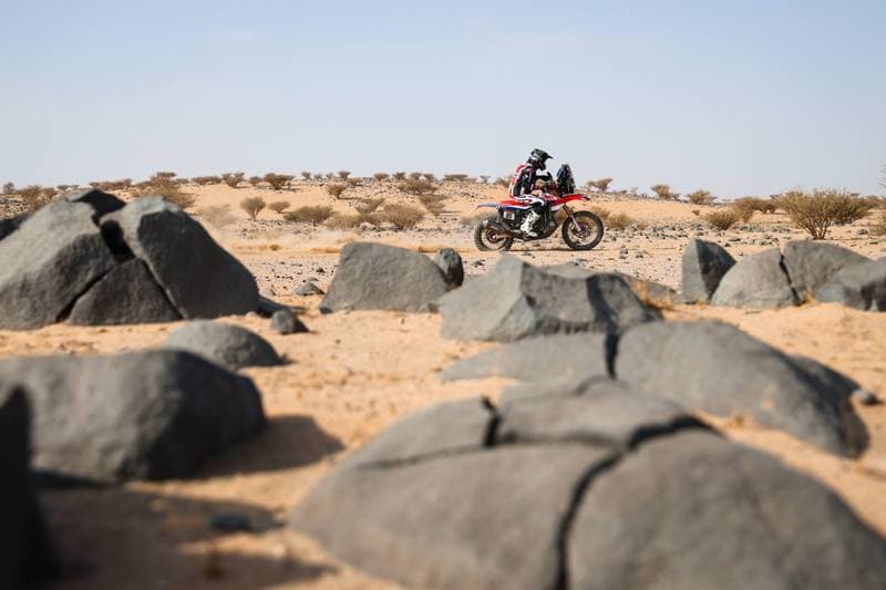 Motorsport. Dakar Rally. Stage 11. 15.01.2026