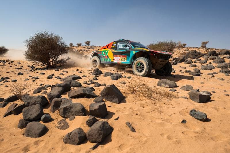 Motorsport. Dakar Rally. Stage 11. 15.01.2026