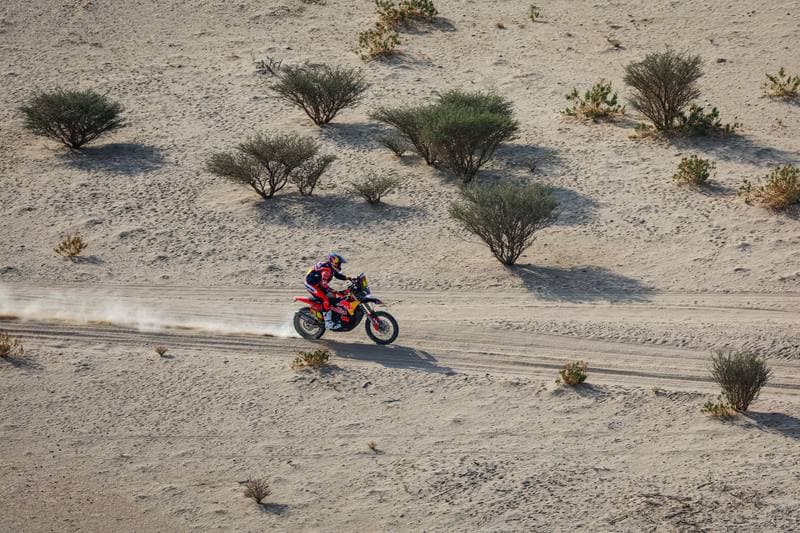 Motorsport. Dakar Rally. Stage 11. 15.01.2026