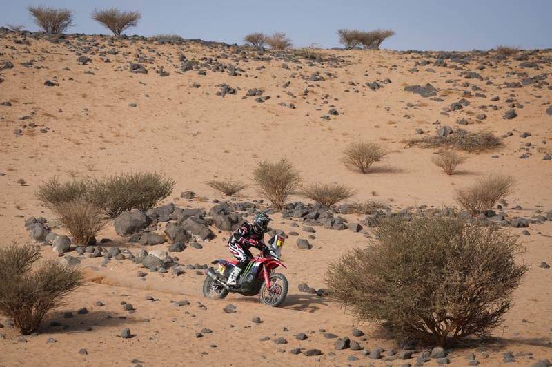 Motorsport. Dakar Rally. Stage 11. 15.01.2026