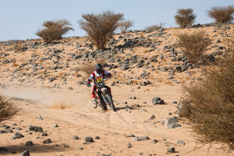 Motorsport. Dakar Rally. Stage 11. 15.01.2026