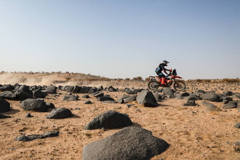 Motorsport. Dakar Rally. Stage 11. 15.01.2026