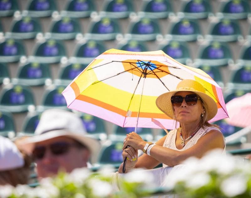 Tennis. Argentina Open. Quarter Finals. 13.02.2026