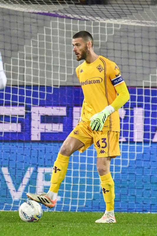 Football. Serie A. ACF Fiorentina - Torino FC. 07.02.2026