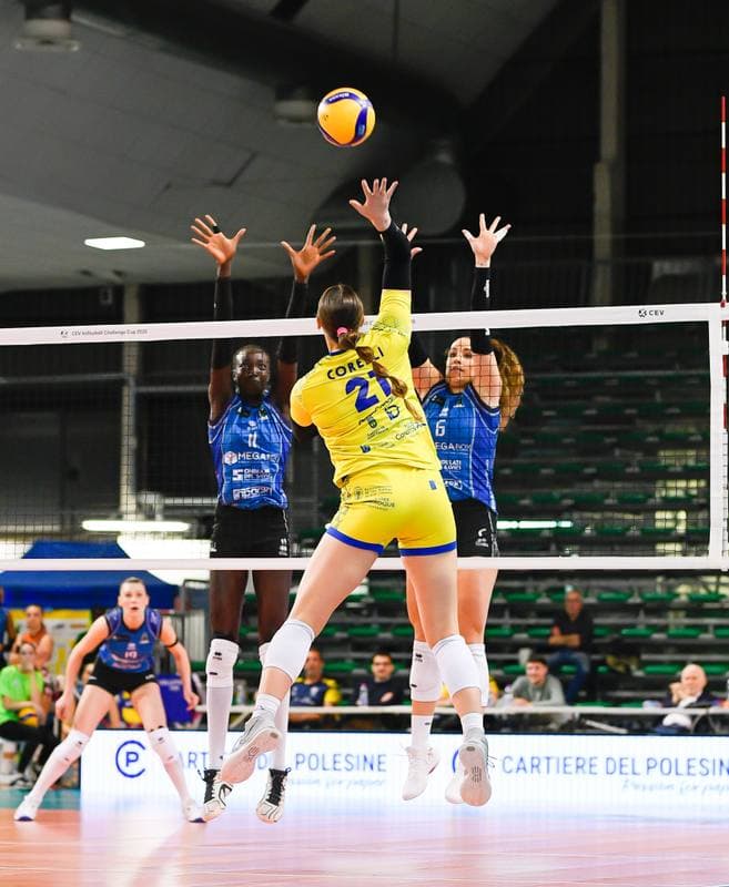 Volleyball. Women's Volleyball Challenge Cup. Megabox Group Vallefoglia - Emalsa Gran Canaria. 04.02.2026