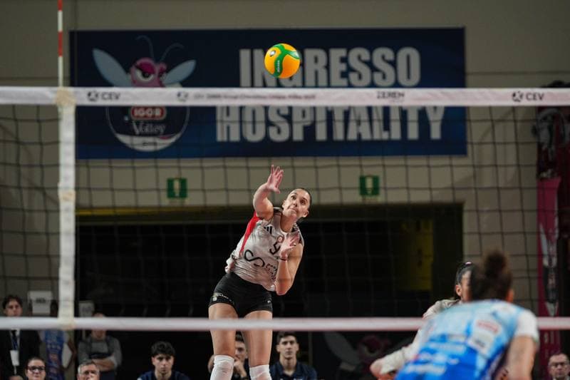 Volleyball. CEV Champions League Women. Igor Gorgonzola Novara - Sport Lisboa e Benfica. 04.02.2026