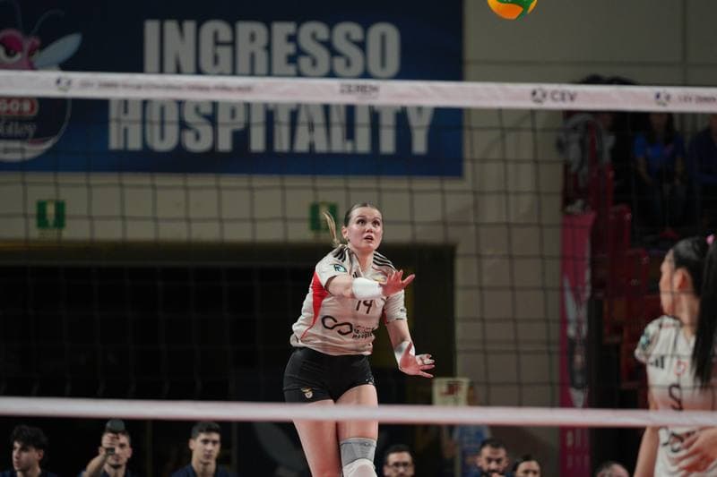 Volleyball. CEV Champions League Women. Igor Gorgonzola Novara - Sport Lisboa e Benfica. 04.02.2026