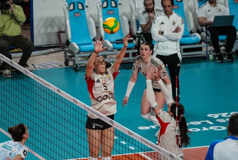 Volleyball. CEV Champions League Women. Igor Gorgonzola Novara - Sport Lisboa e Benfica. 04.02.2026