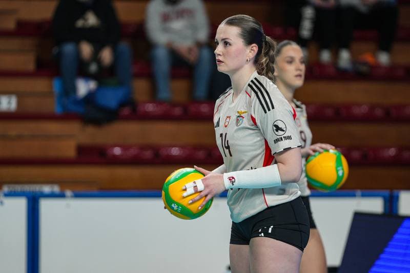 Volleyball. CEV Champions League Women. Igor Gorgonzola Novara - Sport Lisboa e Benfica. 04.02.2026