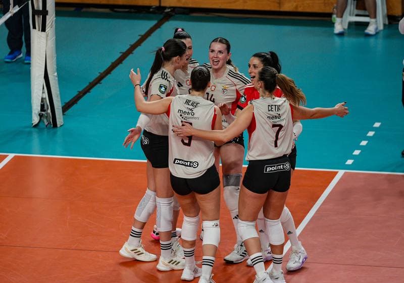Volleyball. CEV Champions League Women. Igor Gorgonzola Novara - Sport Lisboa e Benfica. 04.02.2026
