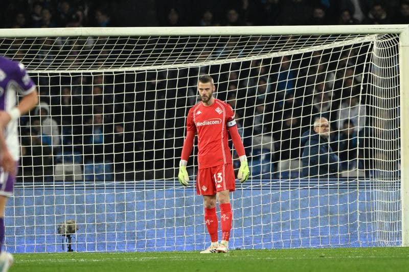Football. Serie A. SSC Napoli - ACF Fiorentina. 31.01.2026
