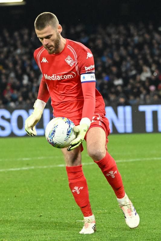 Football. Serie A. SSC Napoli - ACF Fiorentina. 31.01.2026