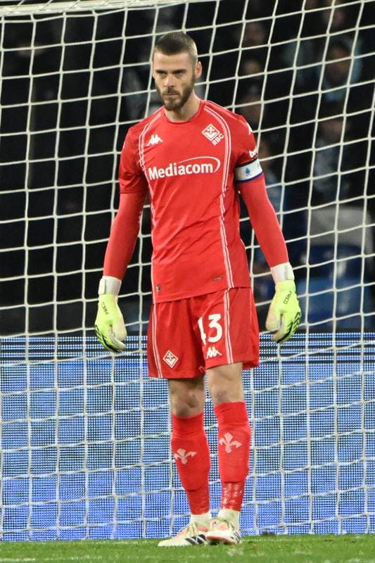 Football. Serie A. SSC Napoli - ACF Fiorentina. 31.01.2026