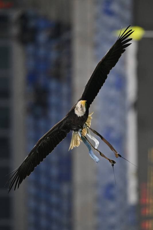 Football. Serie A. SS Lazio - US Sassuolo. 09.03.2026