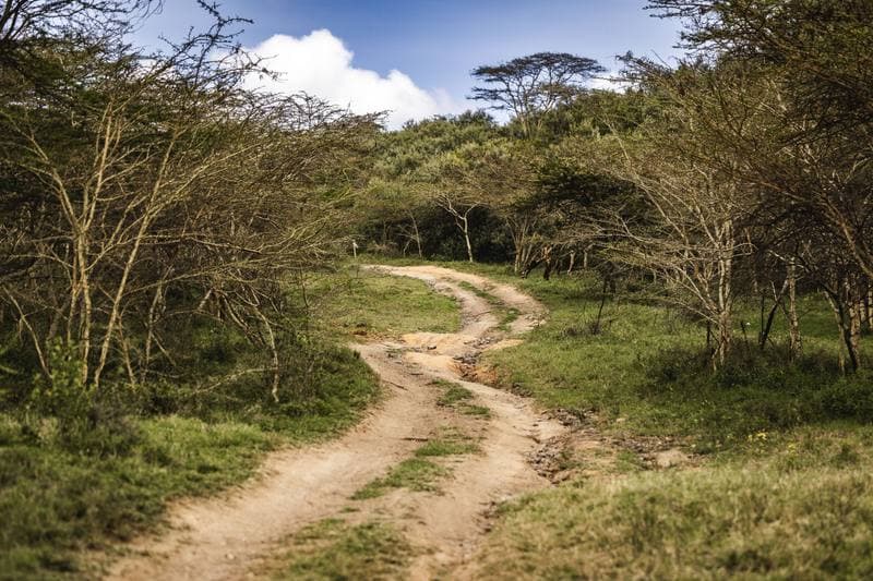 Motorsport. WRC. Safari Rally Kenya. 12.03.2026