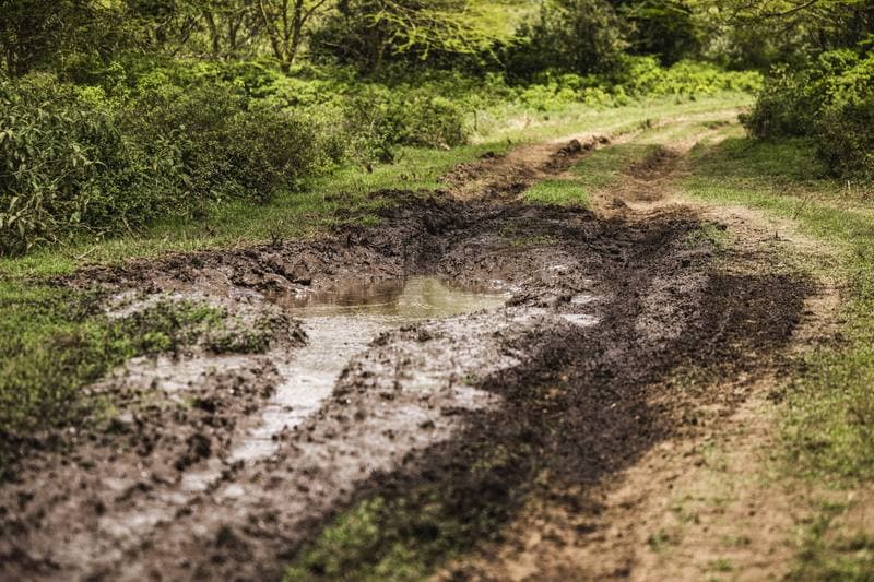 Motorsport. WRC. Safari Rally Kenya. 12.03.2026