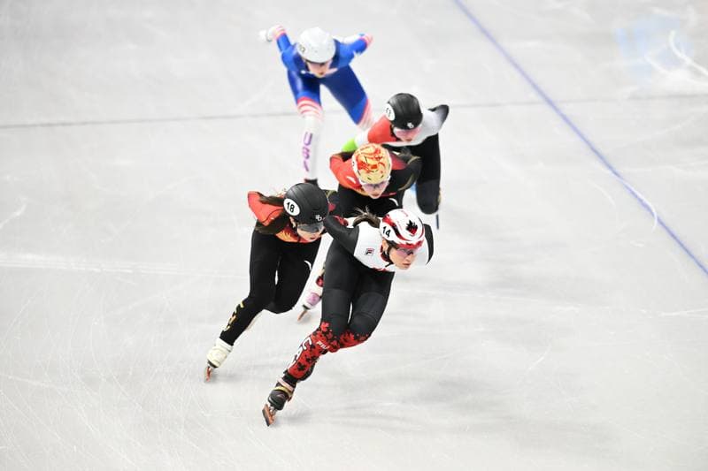 Short Track. Olympic Winter Games Milano-Cortina 2026. Day 1. 12.02.2026