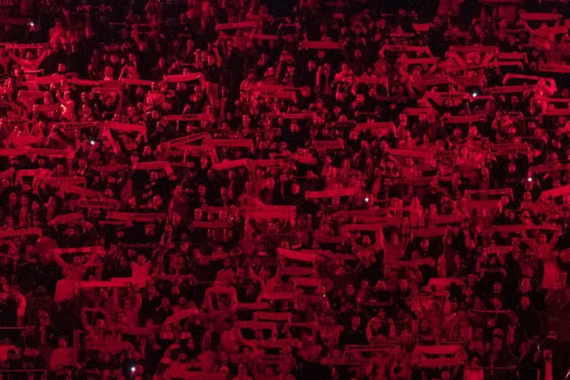 Football. UEFA Champions League. SL Benfica - Real Madrid. 28.01.2026