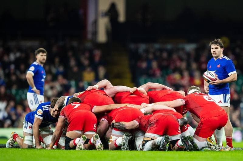 Rugby. Six Nations. Wales - France. 15.02.2026