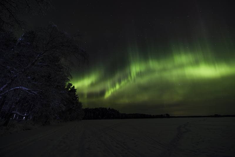 Motorsport. WRC. Rally Sweden. 12.02.2026