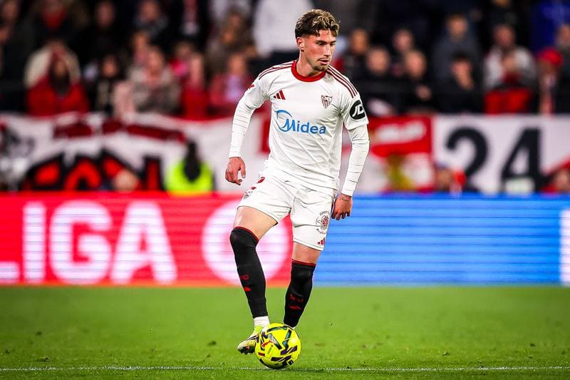 Football. La Liga. Sevilla - Deportivo Alaves. 14.02.2026