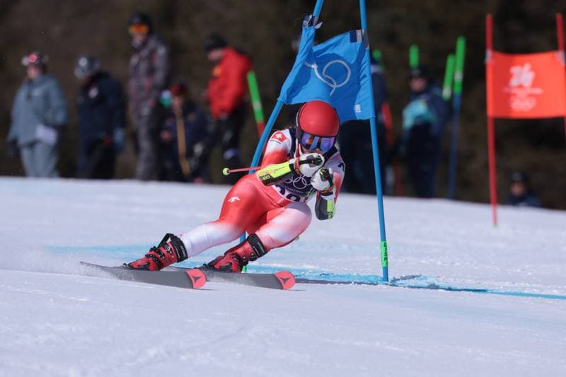 Alpine Skiing. Olympic Winter Games Milano-Cortina 2026. Women's Giant Slalom. 15.02.2026