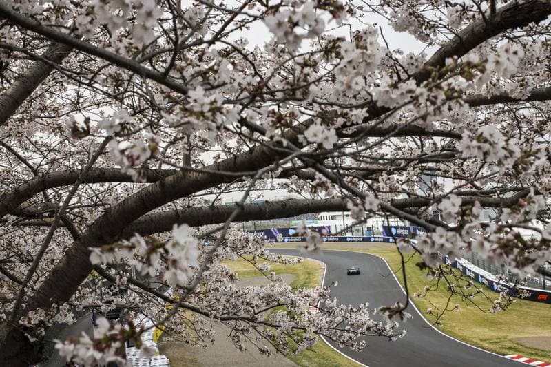 Motorsport. Formula 1. Japanese Grand Prix. 29.03.2026