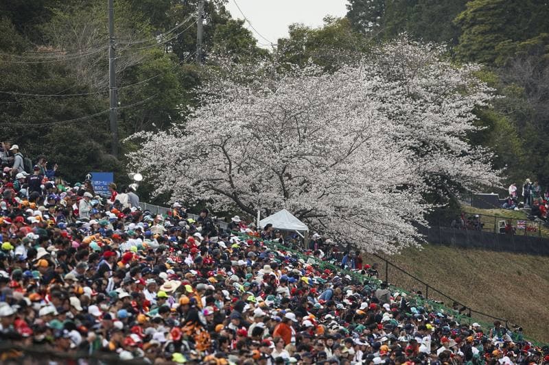 Motorsport. Formula 1. Japanese Grand Prix. 29.03.2026
