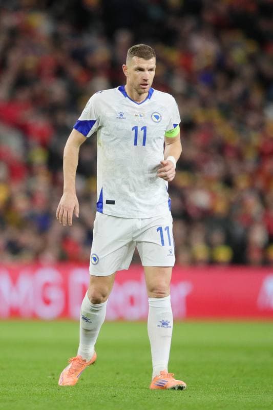 Football. FIFA World Cup Qualifiers. Wales - Bosnia & Herzegovina. 26.03.2026