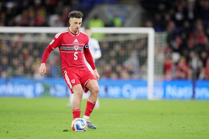 Football. FIFA World Cup Qualifiers. Wales - Bosnia & Herzegovina. 26.03.2026