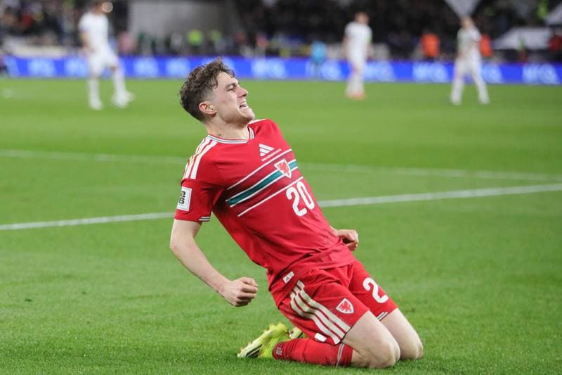 Football. FIFA World Cup Qualifiers. Wales - Bosnia & Herzegovina. 26.03.2026