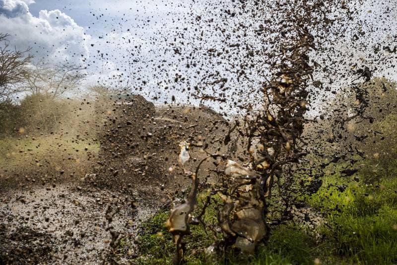 Motorsport. WRC. Safari Rally Kenya. 12.03.2026