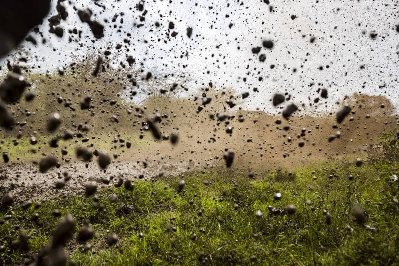 Motorsport. WRC. Safari Rally Kenya. 12.03.2026